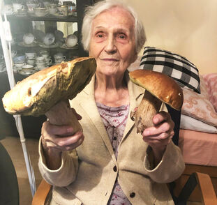 terénní péče osobních asistentů