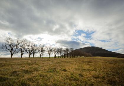 Madam Marie and her last trip to the Říp mountain