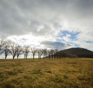 Vylet_pani_Petrove_na_Rip_Radka_Kulh_nkov_2_