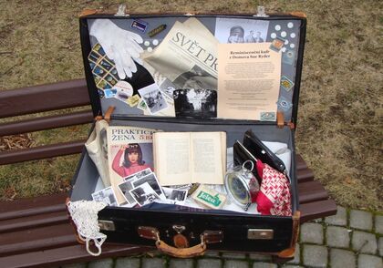 Podle Psychobiografického modelu