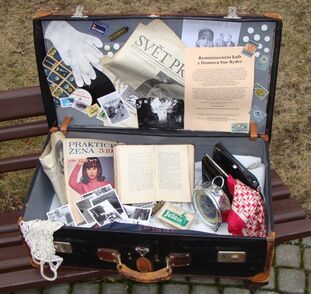 Podle Psychobiografického modelu