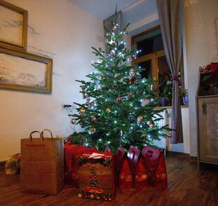 Štědrý_večer_2020_Radka_Kulhánková (35)