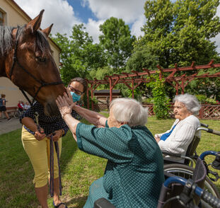 Asistenční_jednorožec_2021_Radka_Kulhankova (5)