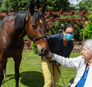 Asistenční_jednorožec_2021_Radka_Kulhankova (8)
