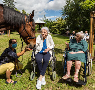 Asistenční_jednorožec_2021_Radka_Kulhankova (9)