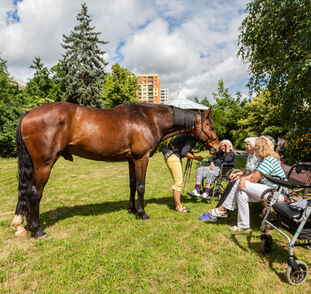 Asistenční_jednorožec_2021_Radka_Kulhankova (10)