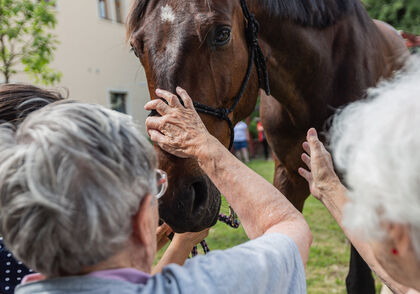 Život se vším všudy