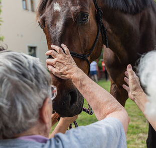 Asistenční_jednorožec_2021_Radka_Kulhankova (14)