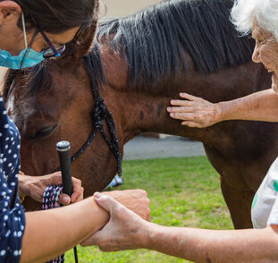 Asistenční_jednorožec_2021_Radka_Kulhankova (16)