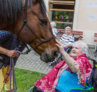 Asistenční_jednorožec_2021_Radka_Kulhankova (23)