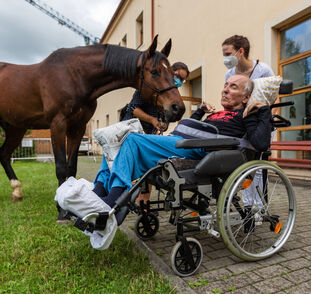 Asistenční_jednorožec_2021_Radka_Kulhankova (27)