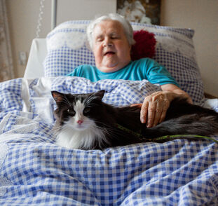 Felinoterapie_04_2021_Radka_Kulhankova (7)