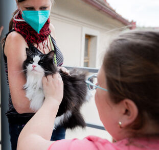 Felinoterapie_04_2021_Radka_Kulhankova (11)