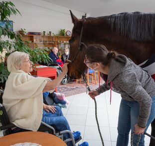 Asistenční_jednorožec_Sagi_leden_2022_Sue_Ryder_Radka_Kulhankova (3)