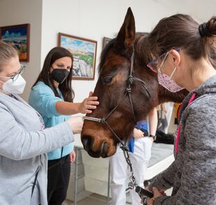 Asistenční_jednorožec_Sagi_leden_2022_Sue_Ryder_Radka_Kulhankova (7)