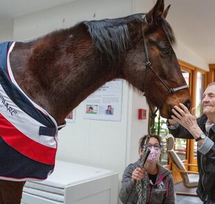 Asistenční_jednorožec_Sagi_leden_2022_Sue_Ryder_Radka_Kulhankova (15)