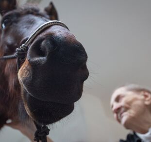 Asistenční_jednorožec_Sagi_leden_2022_Sue_Ryder_Radka_Kulhankova (16)