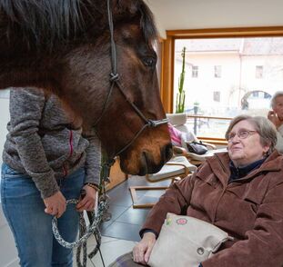 Asistenční_jednorožec_Sagi_leden_2022_Sue_Ryder_Radka_Kulhankova (17)