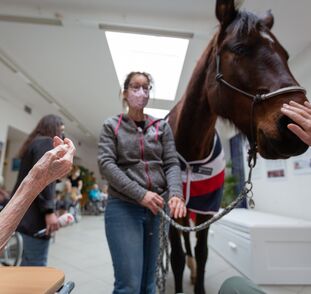 Asistenční_jednorožec_Sagi_leden_2022_Sue_Ryder_Radka_Kulhankova (18)
