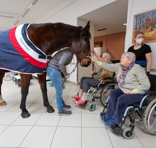 Asistenční_jednorožec_Sagi_leden_2022_Sue_Ryder_Radka_Kulhankova (19)