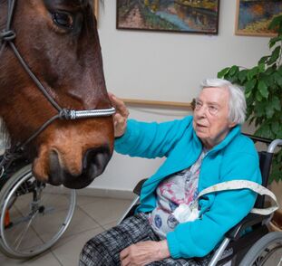 Asistenční_jednorožec_Sagi_leden_2022_Sue_Ryder_Radka_Kulhankova (21)
