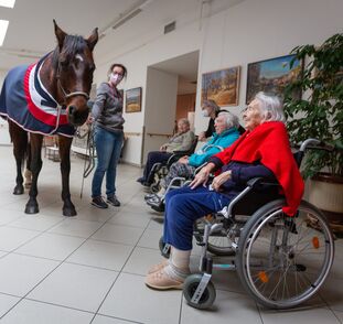 Asistenční_jednorožec_Sagi_leden_2022_Sue_Ryder_Radka_Kulhankova (23)