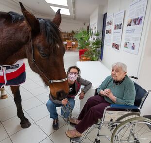 Asistenční_jednorožec_Sagi_leden_2022_Sue_Ryder_Radka_Kulhankova (28)