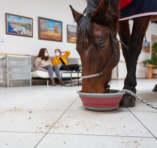 Asistenční_jednorožec_Sagi_leden_2022_Sue_Ryder_Radka_Kulhankova (32)