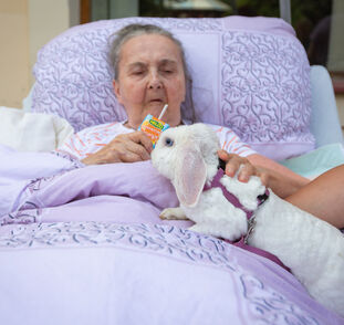 Zvířátka z Boušic 2024 Radka Kulhánková (10)