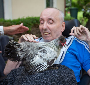 Zvířátka z Boušic 2024 Radka Kulhánková (15)