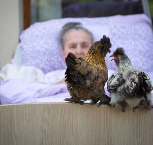 Zvířátka z Boušic 2024 Radka Kulhánková (27)