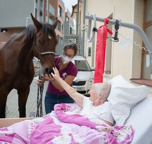 asistencni-jednorozec-v-sue-ryder-zari-2022-radka-kulhankova-2