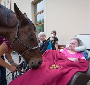 asistencni-jednorozec-v-sue-ryder-zari-2022-radka-kulhankova-19
