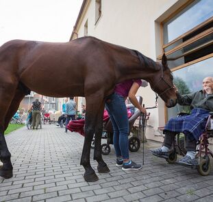asistencni-jednorozec-v-sue-ryder-zari-2022-radka-kulhankova-20