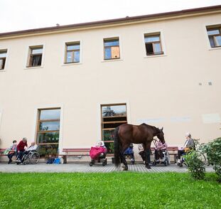 asistencni-jednorozec-v-sue-ryder-zari-2022-radka-kulhankova-22