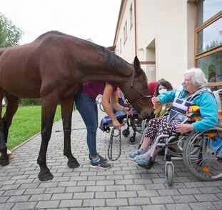 asistencni-jednorozec-v-sue-ryder-zari-2022-radka-kulhankova-23