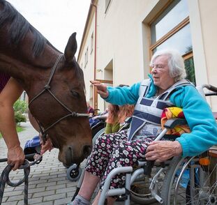 asistencni-jednorozec-v-sue-ryder-zari-2022-radka-kulhankova-24