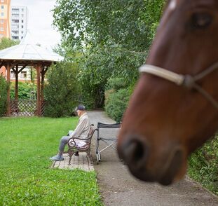 asistencni-jednorozec-v-sue-ryder-zari-2022-radka-kulhankova-34