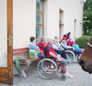 asistencni-jednorozec-v-sue-ryder-zari-2022-radka-kulhankova-37