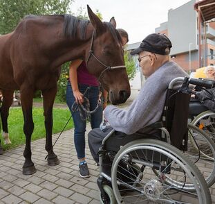 asistencni-jednorozec-v-sue-ryder-zari-2022-radka-kulhankova-40