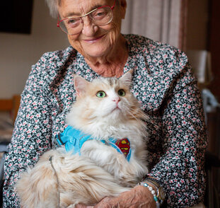 návštěvy terapeutických mazlíčků