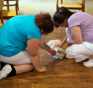 Benji 1. návštěva v Sue Ryder (2)