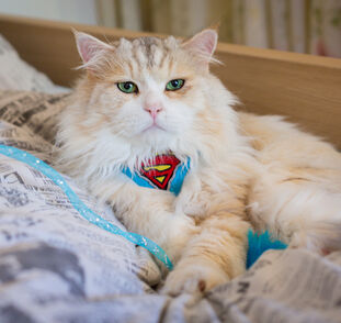 Benji fotí kampaň (16)