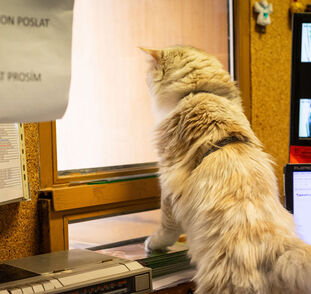 Benji 1. návštěva v Sue Ryder (18)