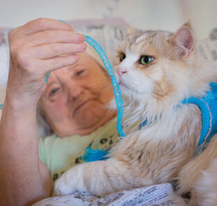 Benji fotí kampaň (18)