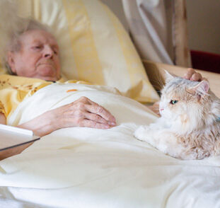 Benji v Sue Ryder 4. návštěva Radka Kulhánková (2)