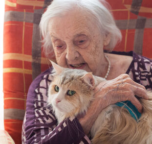 Kocour Benjí 6. návštěva Radka Kulhánková (11)