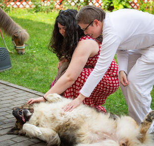 Zvířátka z Boušic 2024 Radka Kulhánková (53)