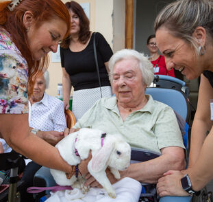 Zvířátka z Boušic 2024 Radka Kulhánková (7)