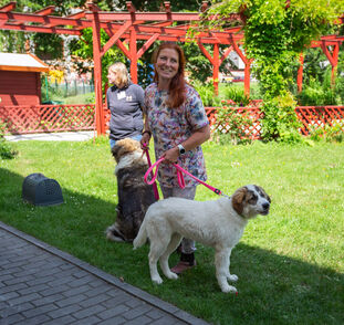 Zvířátka z Boušic 2024 Radka Kulhánková (1)